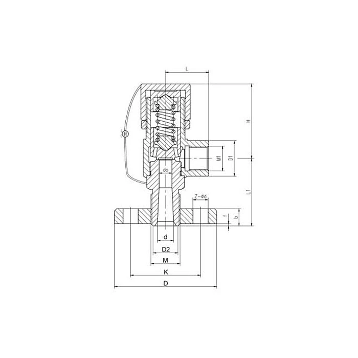 Safety Relief Valve best