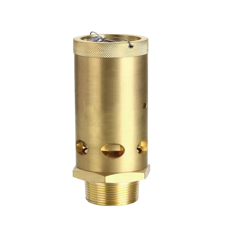 Air Compressor Relief Valve