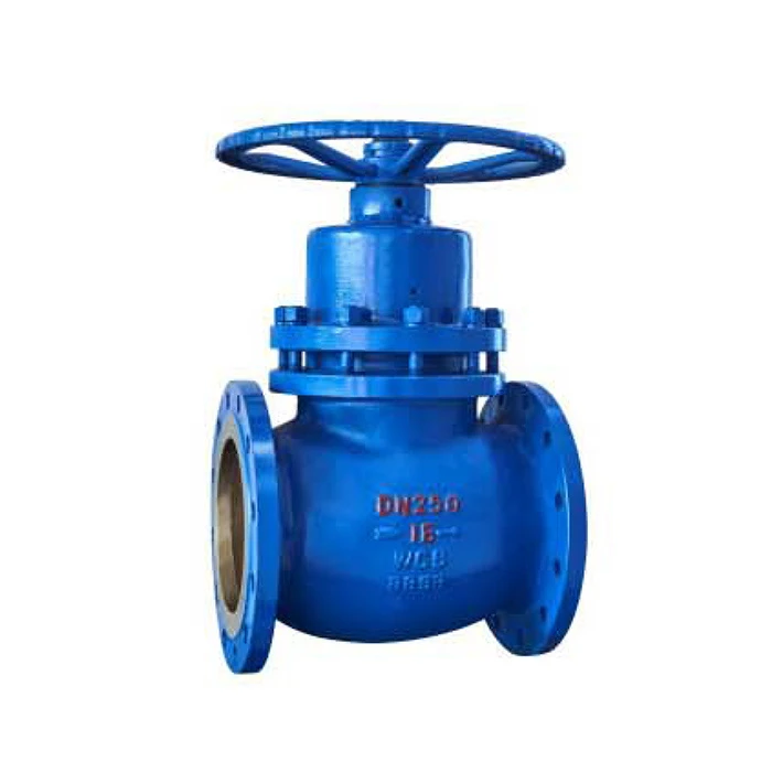 Backflow Protection Valve