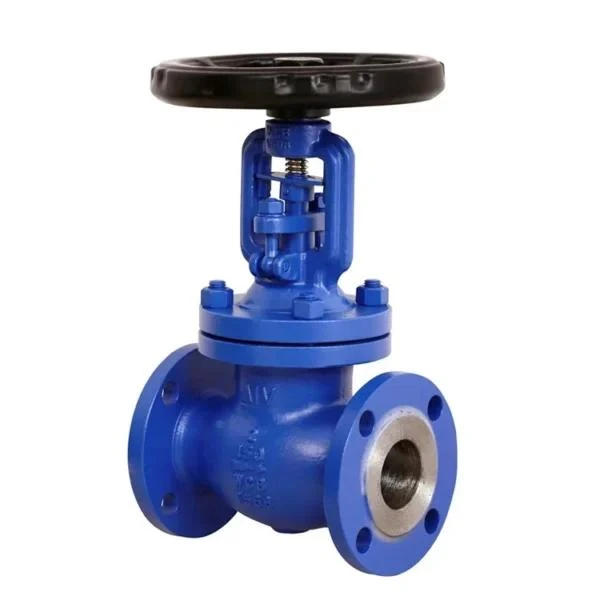 Globe Valve