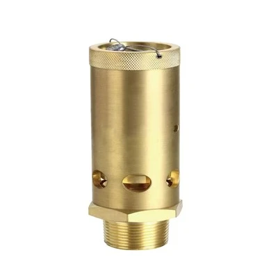 Air Compressor Relief Valve