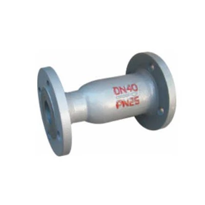 Lift Check Valve