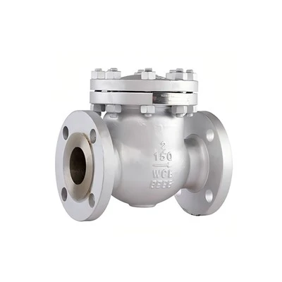 Swing Check Valve